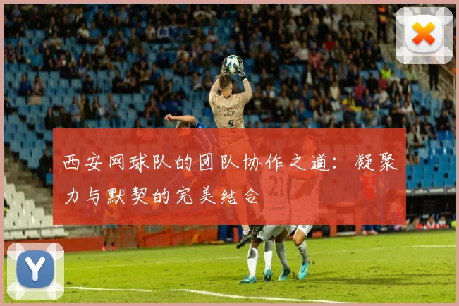 西安网球队的团队协作之道：凝聚力与默契的完美结合