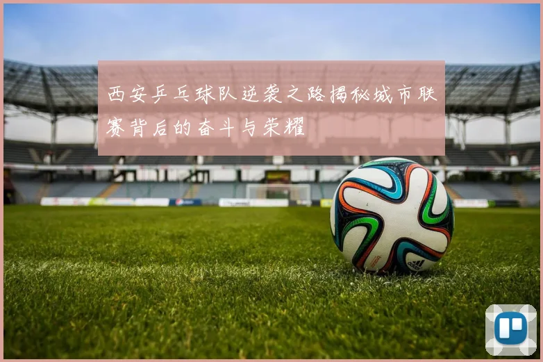 西安乒乓球队逆袭之路揭秘城市联赛背后的奋斗与荣耀