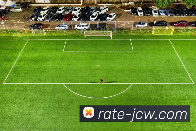 竞彩网平台生态图